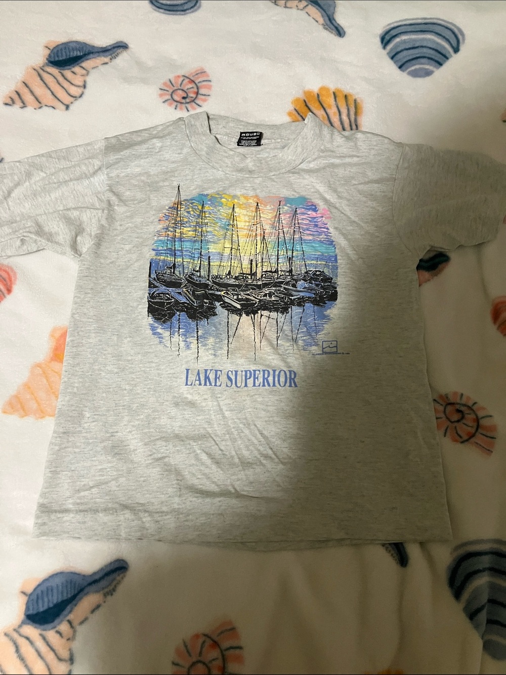 Lake Superior Graphic Crewneck T-Shirt - Light Gray